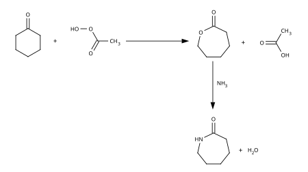 Caprolactam synthesis.svg