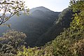 Cerro de San Joaqín.jpg