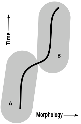 <span class="mw-page-title-main">Pseudoextinction</span>