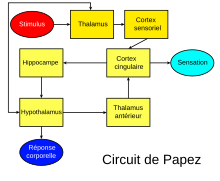 RÃ©sultat de recherche d'images pour "circuit de papeze"