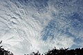 Cirrocumulus stratiformis lacunosus (on the right)