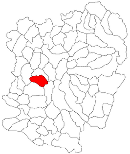 Kaart van Ciudanovița
