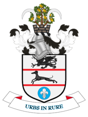 Coat of arms of Solihull Metropolitan Borough Council.png