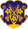Coat of arms of Uzhgorod.png