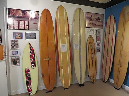 A variety of surfboards