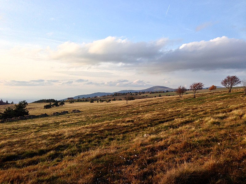 File:Col des Supeyres (Parc naturel régional du Livradois-Forez).jpg