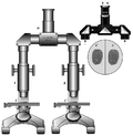 Miniatura per Microscopi de comparació