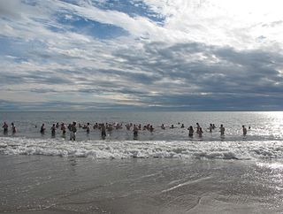 <span class="mw-page-title-main">Coney Island Polar Bear Club</span>