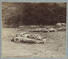 Dead confederates in a field on the Rose Woods. Confederate soldiers as they fell near the center of the battlefield of Gettysburg LCCN2013645925.jpg