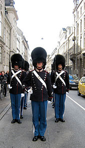 Conscription duty as Royal Life Guards in Copenhagen Copenhagen royal guard waiting.jpg