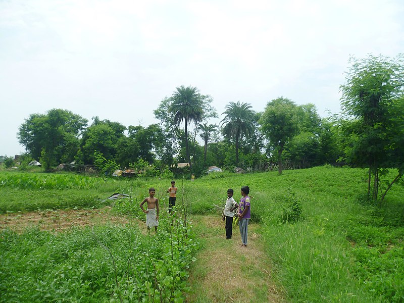 File:Countryside near Khajuraho (3).jpg