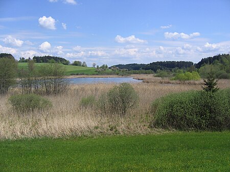 D BW Neukirch NSG Kreuzweiher Langensee, Panorama