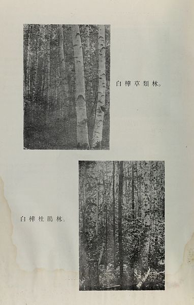 File:Da xing an ling sen lin zi yuan diao cha bao gao (1954) (20220307583).jpg