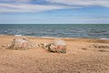 * Nomination Boulders in urban beach of Makhachkala. --Alexander Novikov 17:09, 29 April 2022 (UTC) * Promotion The Summary/Description in these 5 images could be more specific and descriptive, mentioning what each image depicts. --Tagooty 03:16, 30 April 2022 (UTC)  Done More specific description added. Alexander Novikov 06:57, 30 April 2022 (UTC)  Support Good quality. --Tagooty 15:46, 30 April 2022 (UTC)