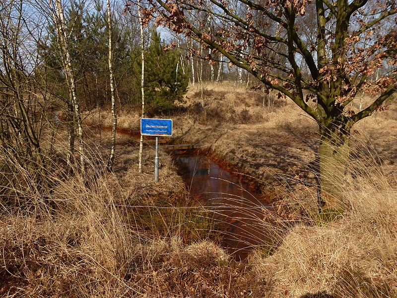 File:Dalemstroompje Cartierheide.JPG