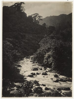 Aliran hulu Batang Antokan sekitar 1915