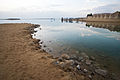 Dead Sea (3272127512).jpg