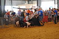 Delaware State Fair - 2012 (7695722986).jpg