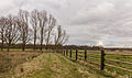 Delleboersterheide – Catspoele Natuurgebied van It Fryske Gea. Omgeving van het heideveld.