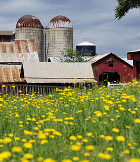 Denver Downs Farmstead