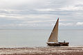 * Nomination Dhow boat staying on the beach, Zanzibar, Tanzania --Nino Verde 17:13, 5 April 2013 (UTC) * Promotion nice --Rjcastillo 17:20, 5 April 2013 (UTC)