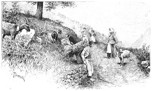Die Gartenlaube (1899) b 0057 1.jpg