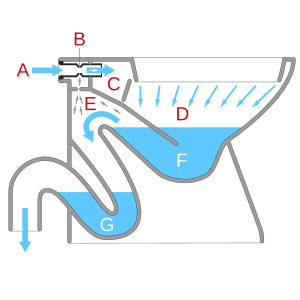 Un WC siphonique à double siphon. L'eau pénètre en (A) en aspirant de l'air dans l'aspirateur (B) depuis la jambe de siphon (E) avant de passer dans la rebord (C) et dans la cuvette (D). L'eau du premier siphon dans la cuvette (F) est aspirée à travers le siphon et sort par le second siphon (G) jusqu'au tuyau de chute.