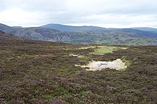 Pools on the moorland near Pen y Graig Gron.