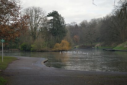 How to get to Eastville Park with public transport- About the place