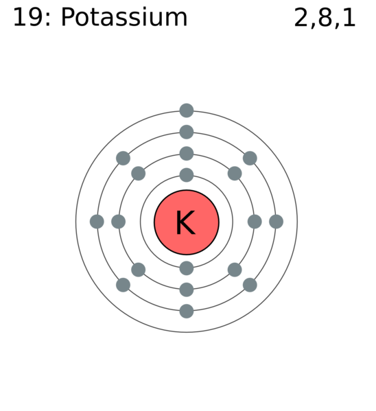 File:Electron shell 019 potassium.png