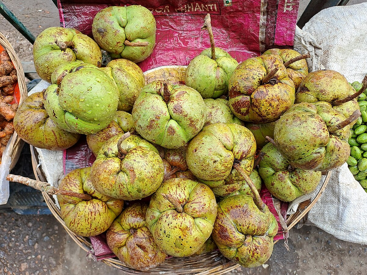 Elephant apple