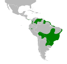 Emberizoides herbicola map.svg 