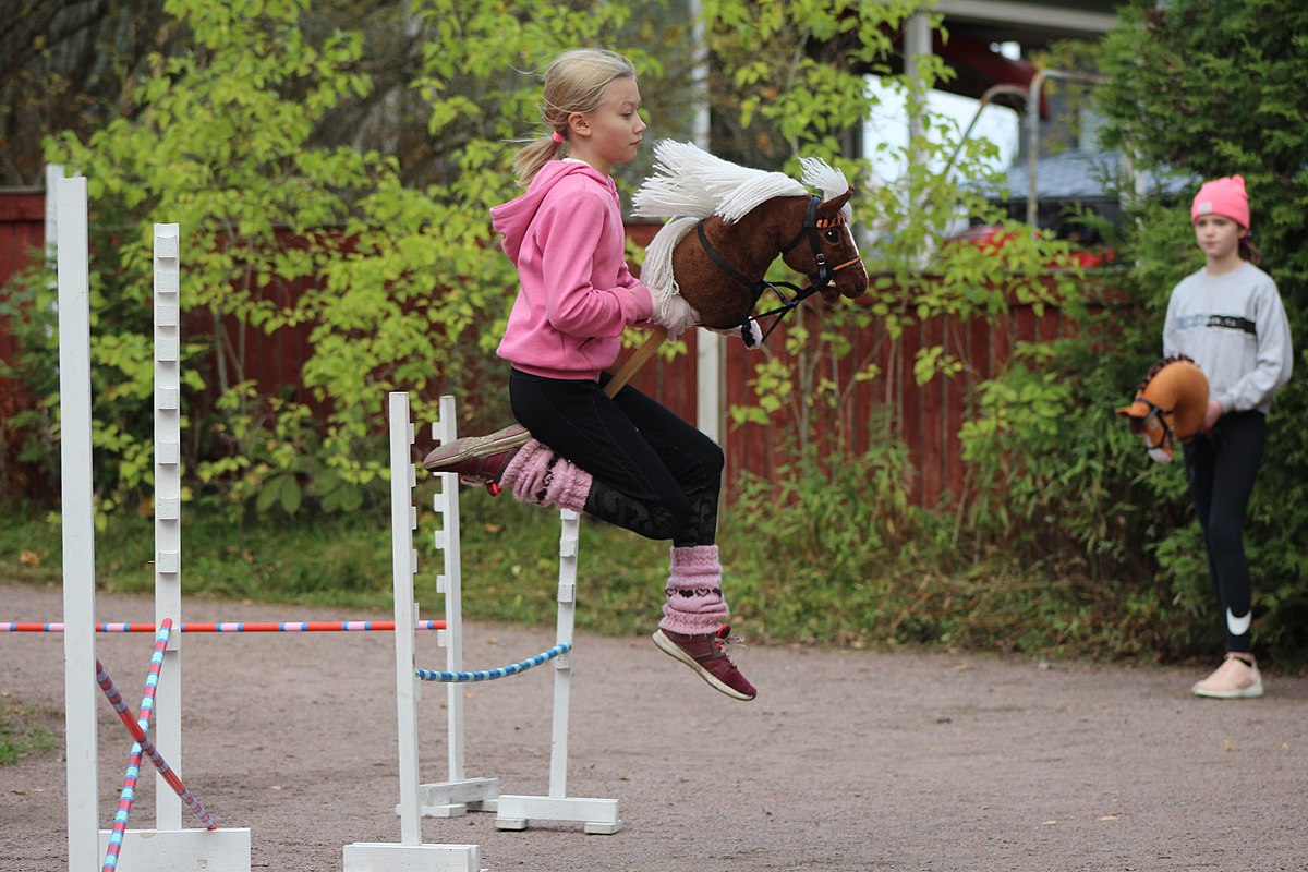 High quality Finnish hobby horses