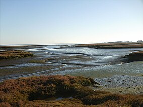 Estuário do Sado 1. JPG