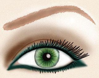 <span class="mw-page-title-main">Eye liner</span> Cosmetic applied around the eyes