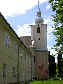 Fagaras Manastirea franciscana (1)