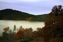 The reaches of the cool Pacific fog is one of the dominant influences in Mendocino County viticulture, particularly in the coastal western regions of the county. Fall Fog in Mendocino county.jpg