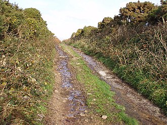 Farm lane to Trevegean Farm lane to Trevegean - geograph.org.uk - 90692.jpg