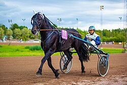 Jani Ruotsalainen ja Faste Viking, 2020