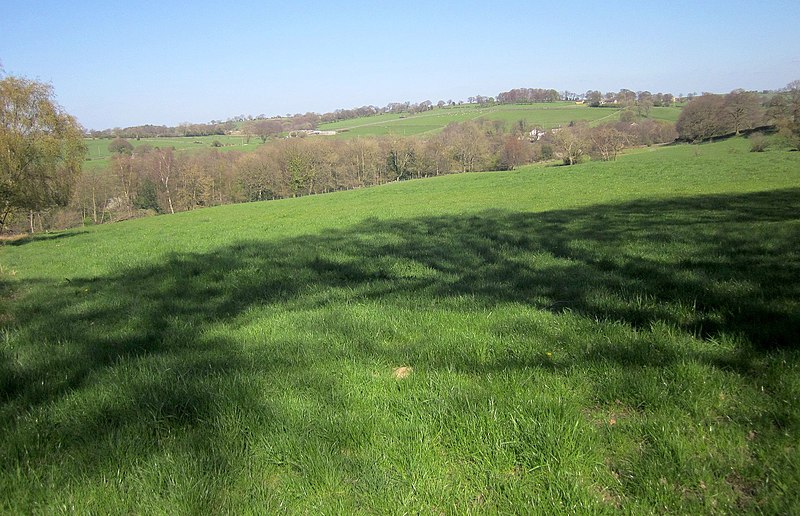 File:Field by the Nidderdale Way - geograph.org.uk - 4114368.jpg