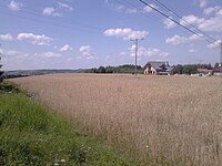 Fields in Stróże, gmina Zakliczyn