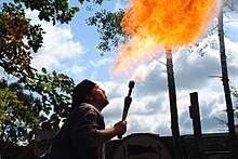 Fire breath Fire Breather 2010 Mich Ren Fest.JPG