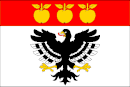 Flag af Nechvalice