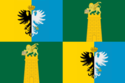 Provinsen Rovigo - Flag