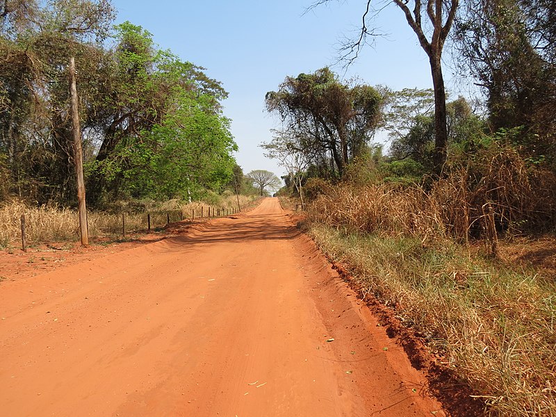 File:Floresta estacional na época de seca. - panoramio.jpg