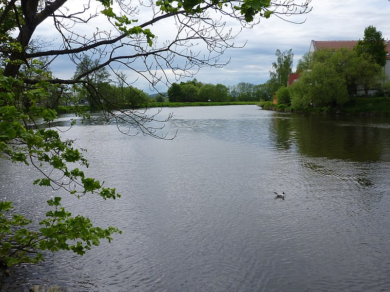 File:Fluss "Regen" in Cham.jpg