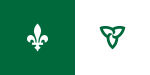 Die Frans-Ontariese vlag word sedert 1975 gebruik en is in 2001 amptelik erken