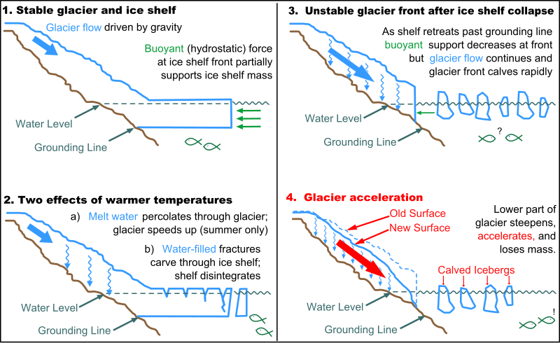 File:Glacier-ice shelf interactions.svg