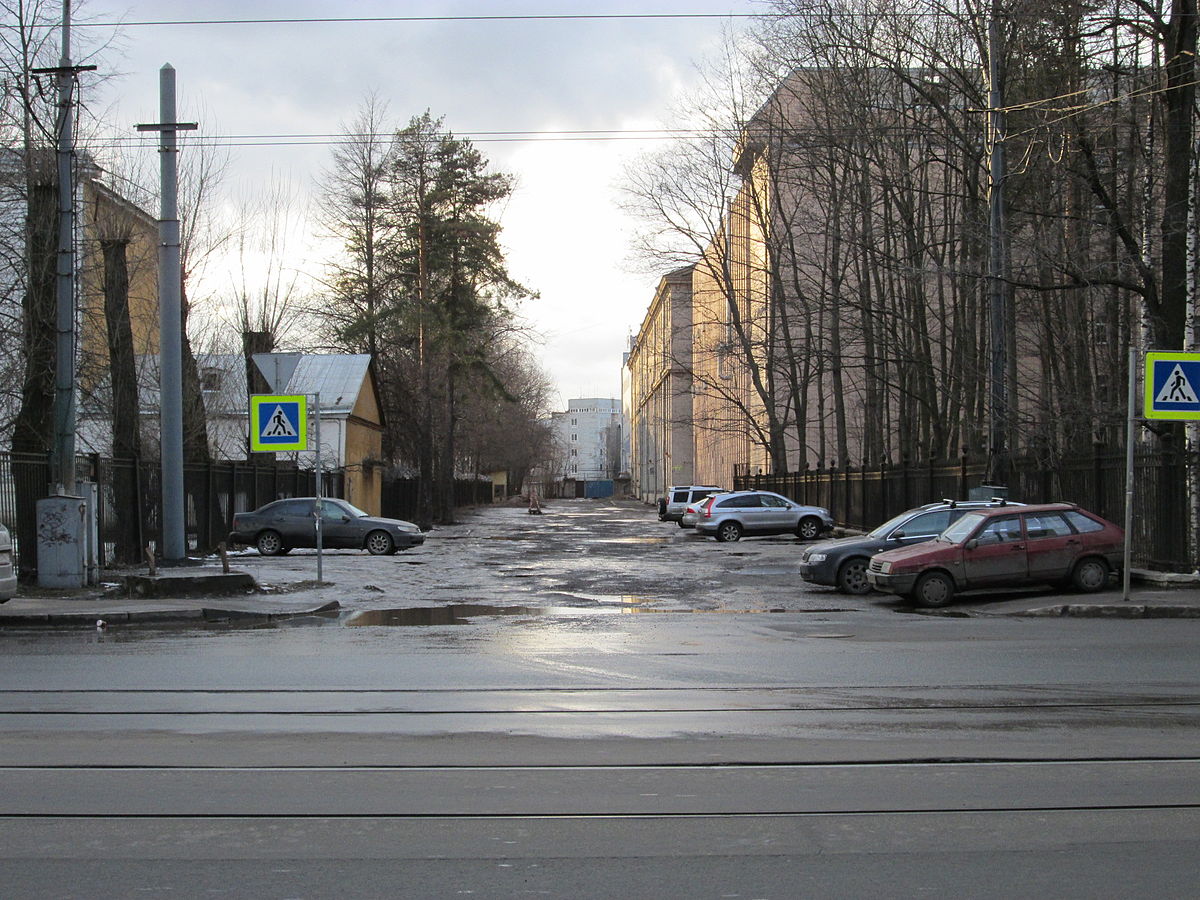 Гомельская улица (Санкт-Петербург) — Википедия