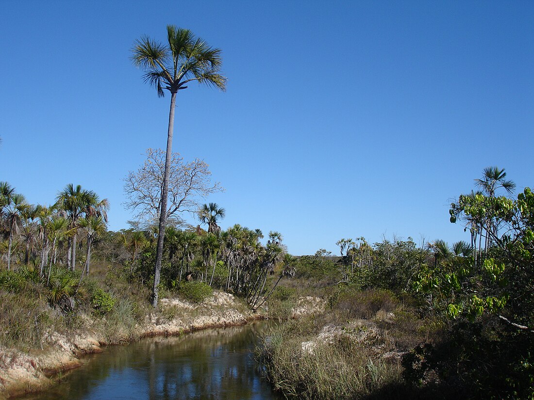 Grande Sertão Veredas National Park